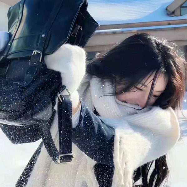 红楼梦第二部