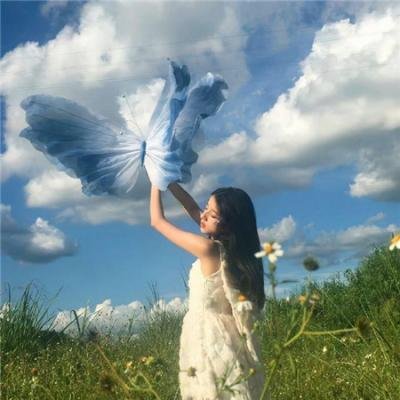 观鸟大年